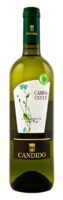 Vin Candido Bianco Casina Cucci