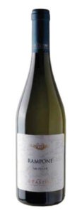 Vin Pastini Bianco Rampone Minutolo L.1,50