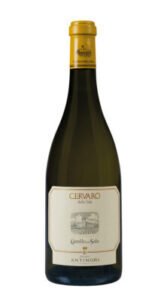 Vin Antinori Bianco Cast. Della Sala Cervaro 2019