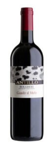 Vin Guado Al Melo Rosso Antillo Bolgheri